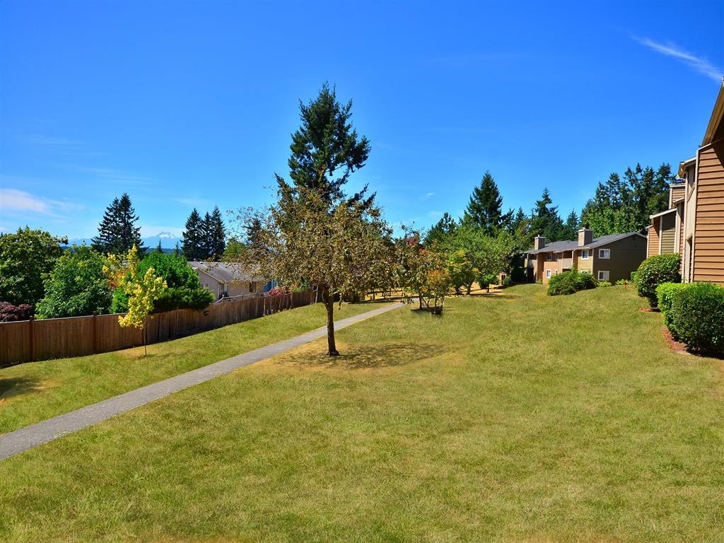 The Reserve At Bucklin Hill